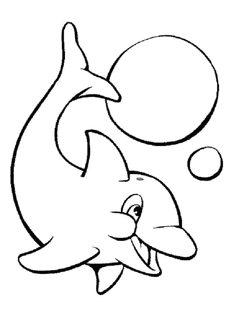 Название: Раскраска Дельфинчик и пузыри. Категория: дельфин. Теги: Подводный мир, дельфин.
