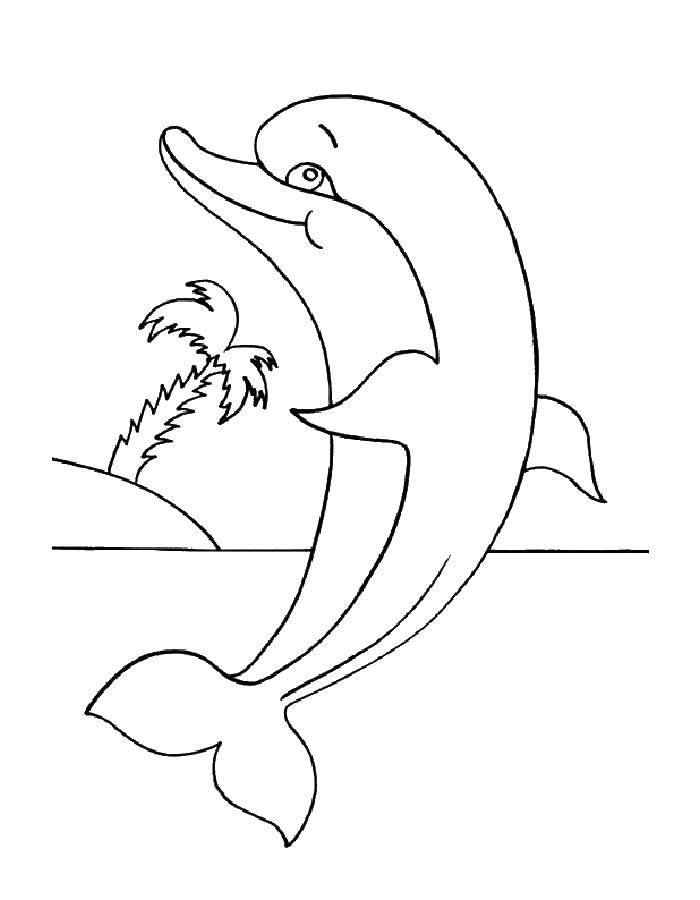 Название: Раскраска Дельфинчик у острова. Категория: дельфин. Теги: Подводный мир, дельфин.