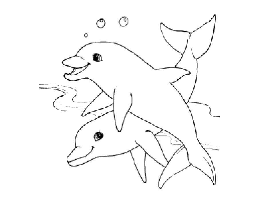 Название: Раскраска Дельфинчики плывут. Категория: дельфин. Теги: Подводный мир, дельфин.