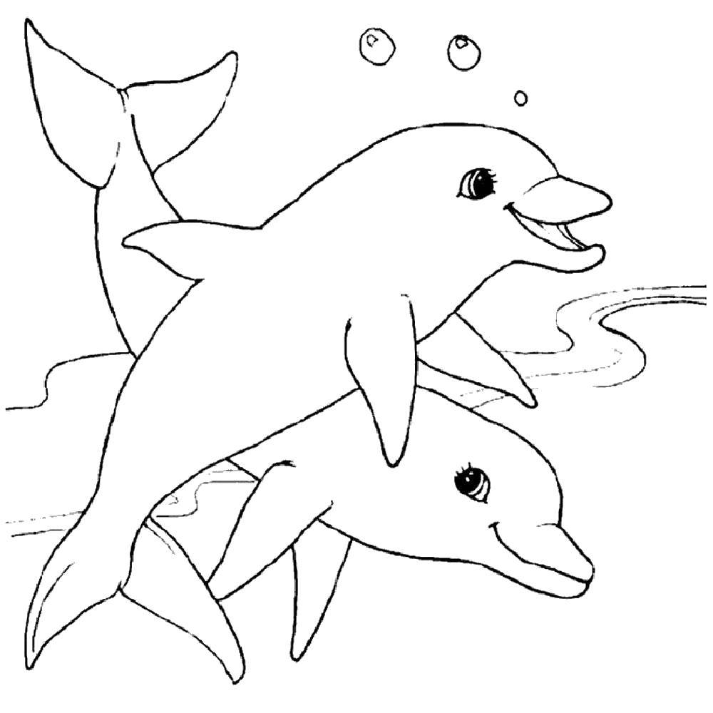 Название: Раскраска Дельфины мирные животные. Категория: дельфин. Теги: Подводный мир, дельфин.