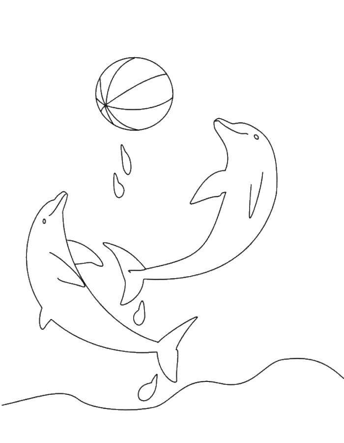 Название: Раскраска Дельфины с мячиком. Категория: дельфин. Теги: Подводный мир, дельфин.