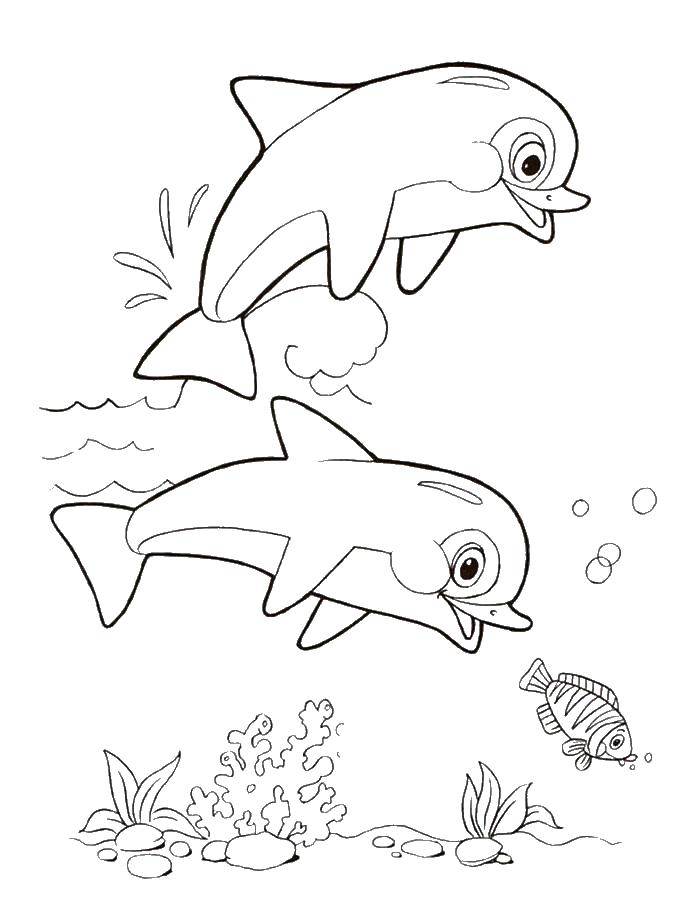 Название: Раскраска Дельфинята счастливы. Категория: дельфин. Теги: Подводный мир, дельфин.