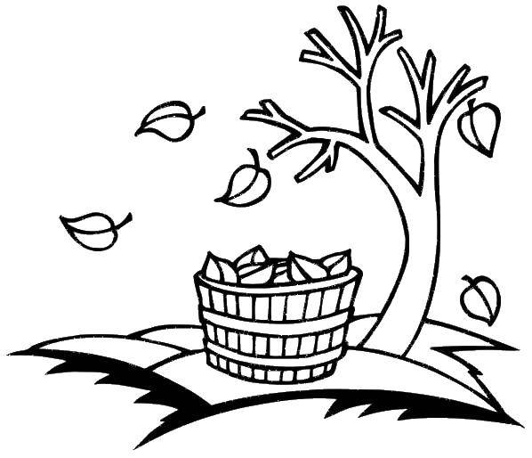 Coloring The tree and basket with leaves. Category Autumn. Tags:  the tree, basket, leaf.