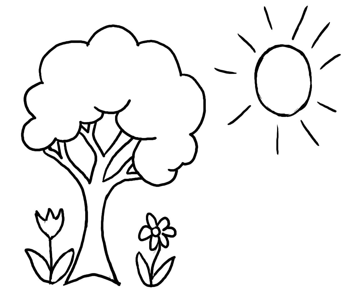 Название: Раскраска Дерево и солнышко. Категория: Контур дерева. Теги: дерево, цветы, солнце.