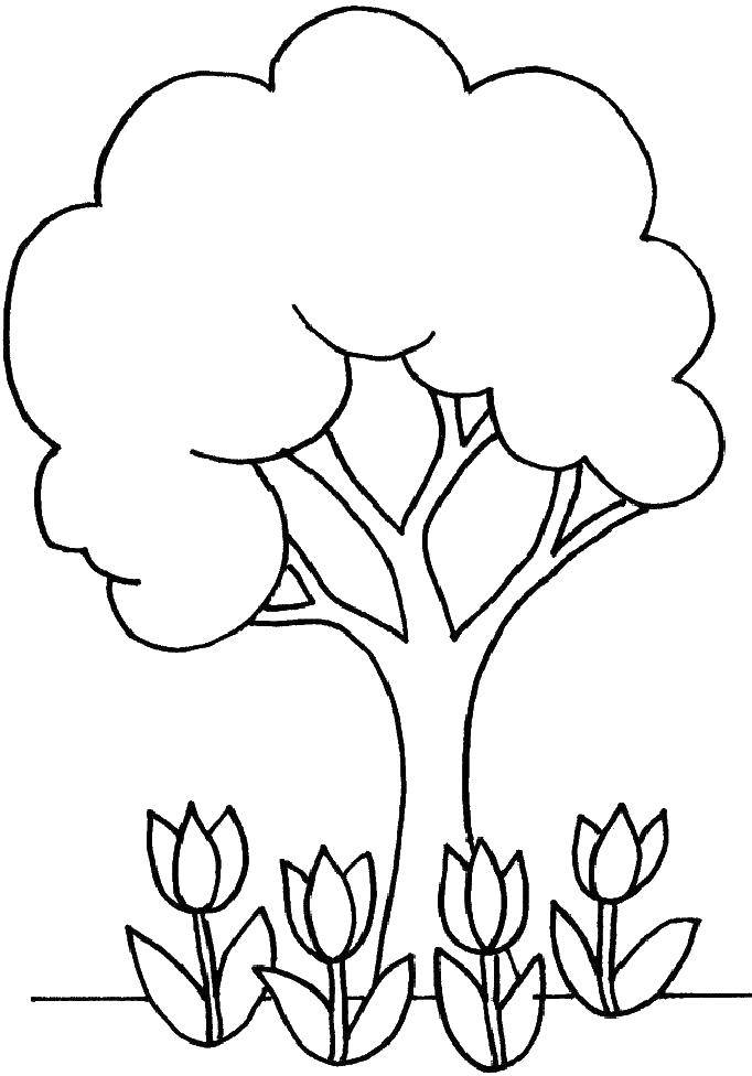 Название: Раскраска Дерево и тюльпаны. Категория: Контур дерева. Теги: дерево, листья, тюльпаны.