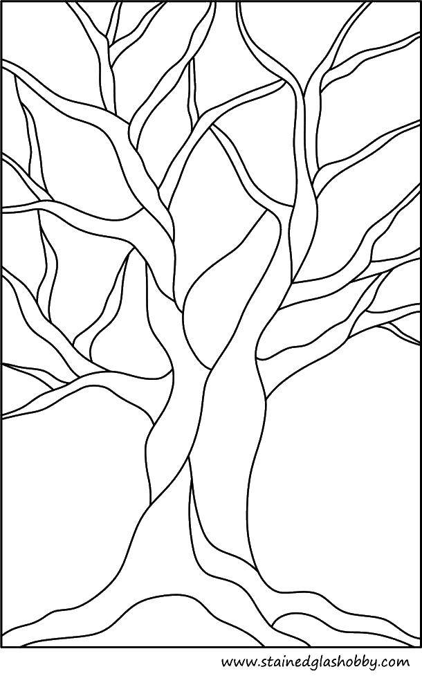Coloring Trees and branches. Category The contour of the tree. Tags:  trees, branches.