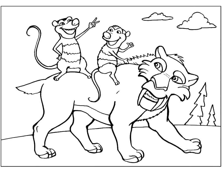 Coloring Diego and the possums. Category ice age. Tags:  the tiger, opossum, Crash, Eddie.