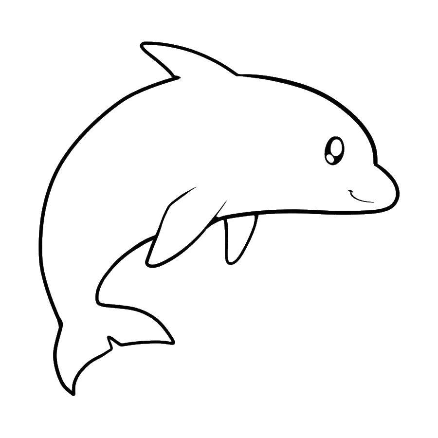 Название: Раскраска Добрый дельфин. Категория: дельфин. Теги: Подводный мир, дельфин.