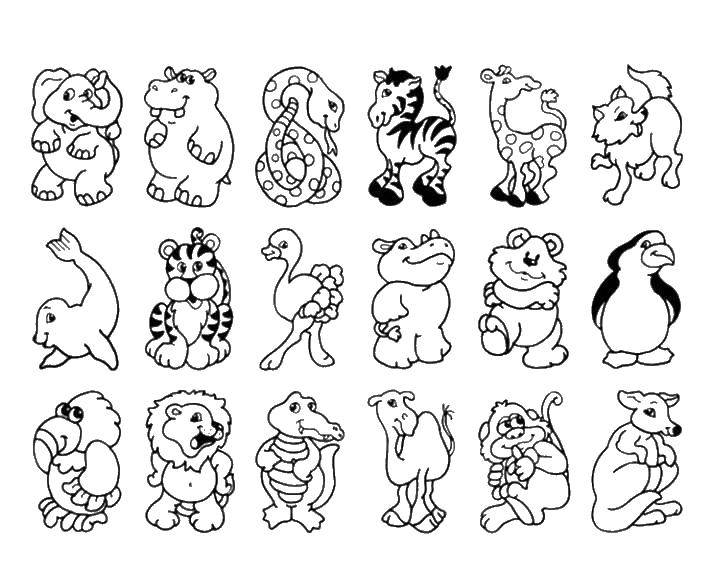 Coloring Friends from the zoo. Category Zoo. Tags:  Zoo, animals.