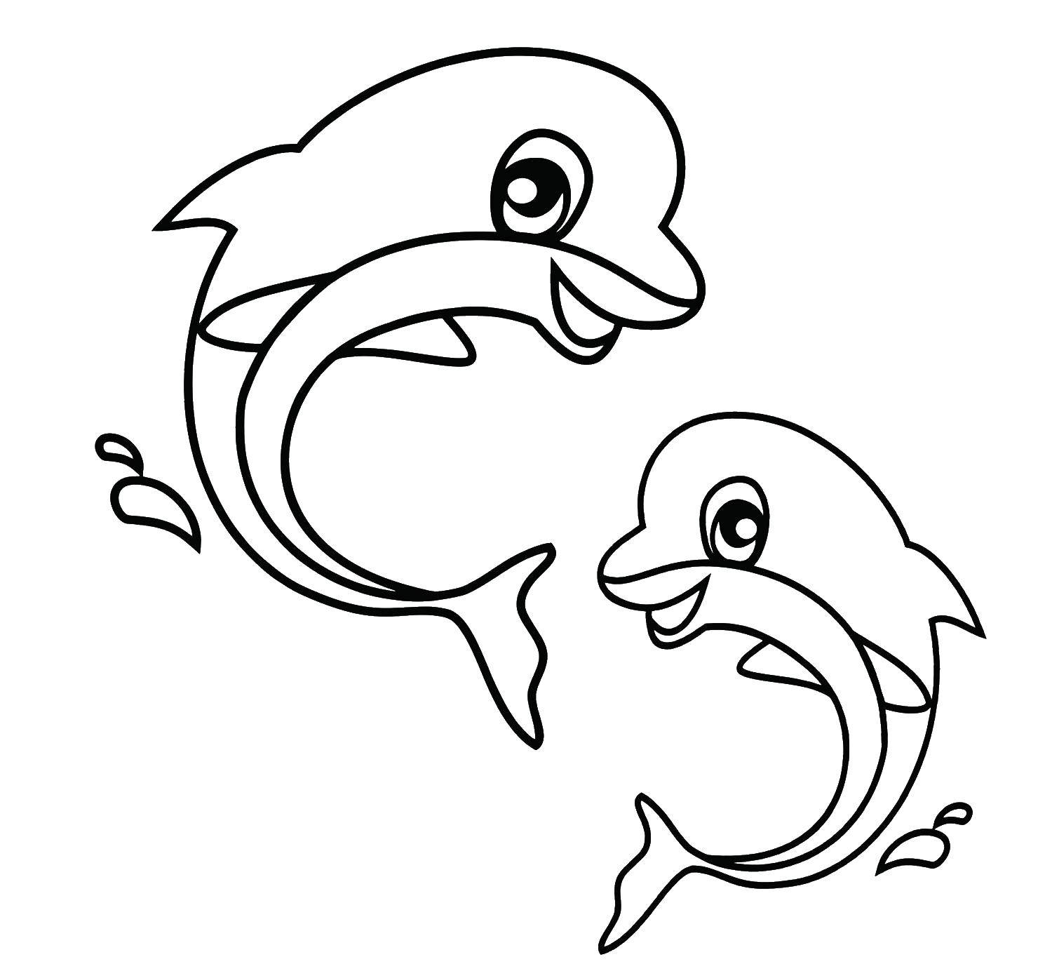 Название: Раскраска Два дельфина играют. Категория: морское. Теги: Подводный мир, дельфин.