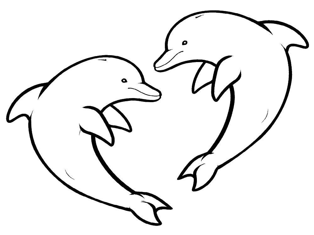 Название: Раскраска Два дельфина в сердце. Категория: дельфин. Теги: дельфин, сердце.