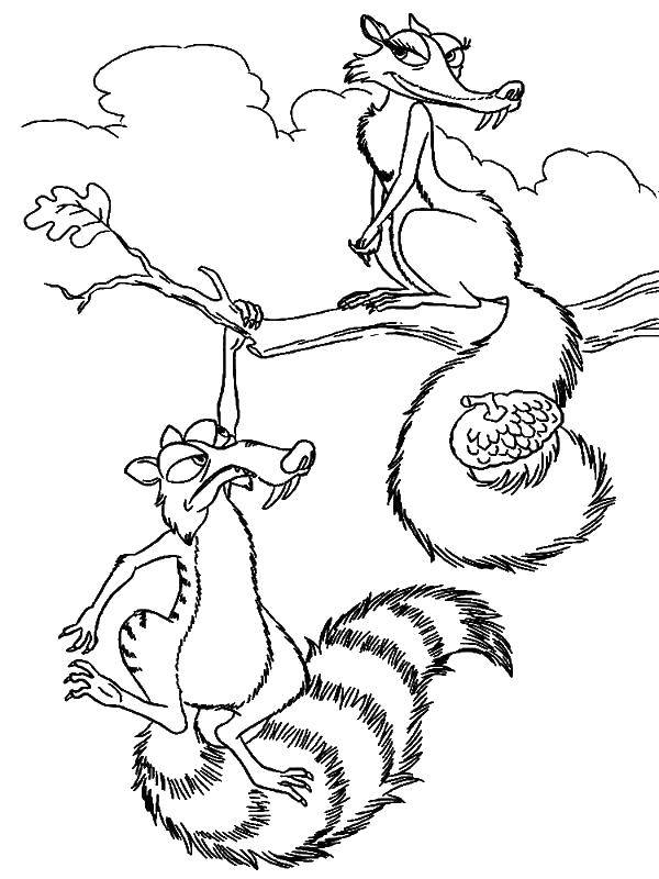 Coloring Two squirrels and a nut. Category ice age. Tags:  proteins, nut, branch.