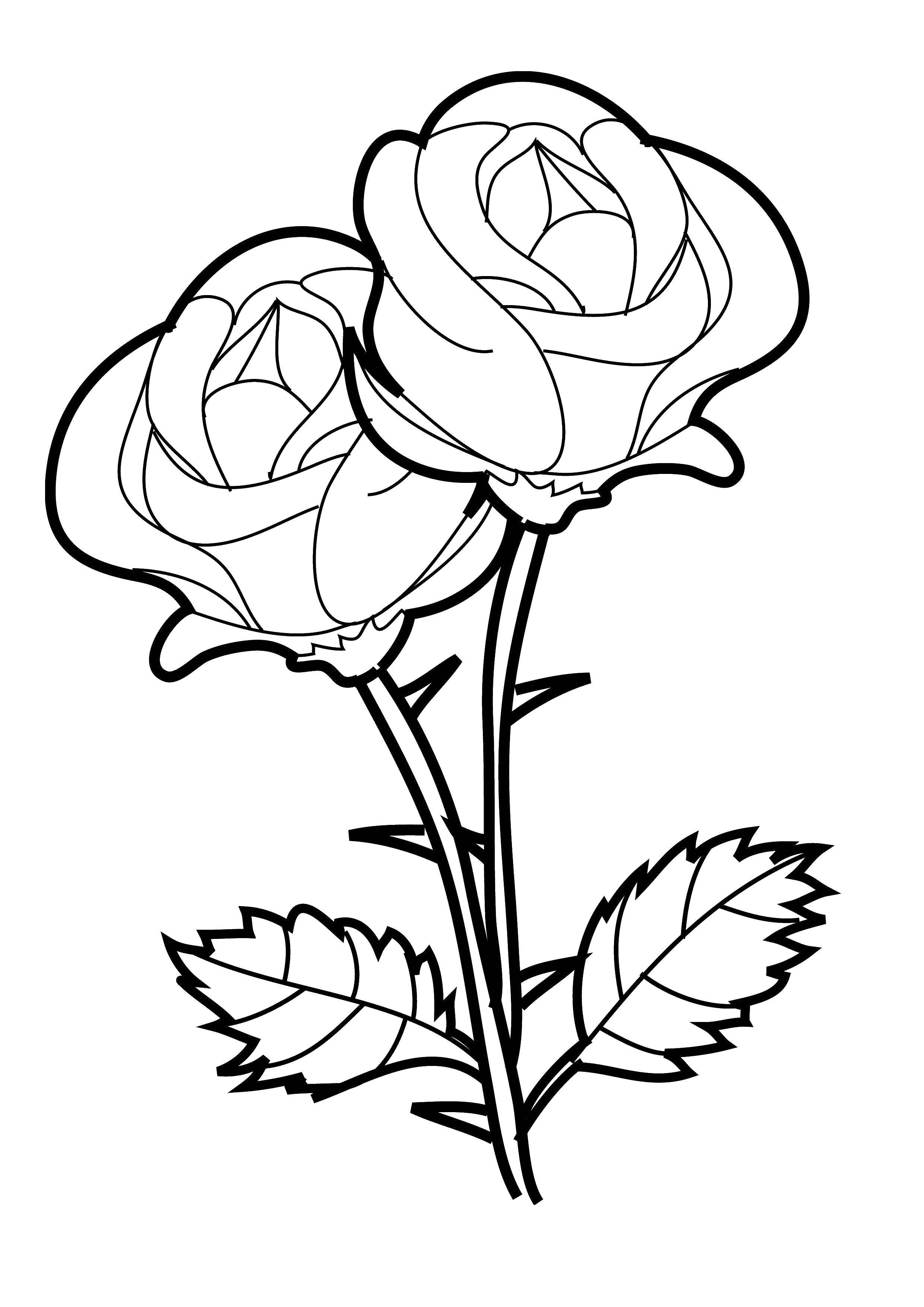 Название: Раскраска Две розы. Категория: Контуры розы. Теги: Цветы, розы.
