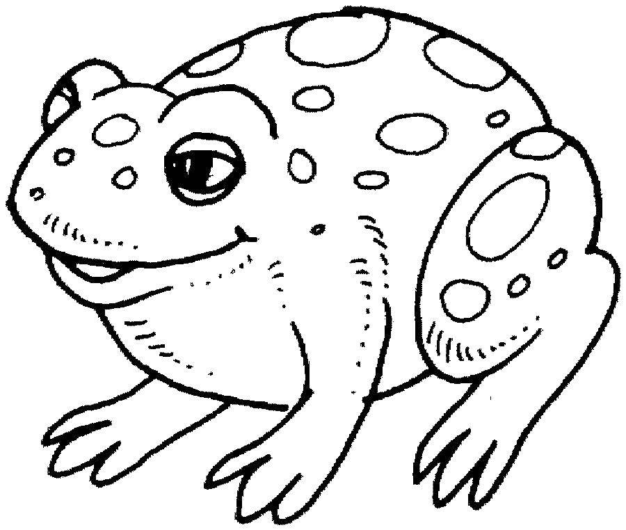 Название: Раскраска Хитрый лягушонок. Категория: животные. Теги: Животные, лягушка.
