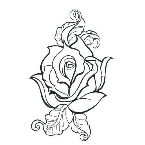 Coloring Graceful rose flower. Category flowers. Tags:  Flowers, roses.