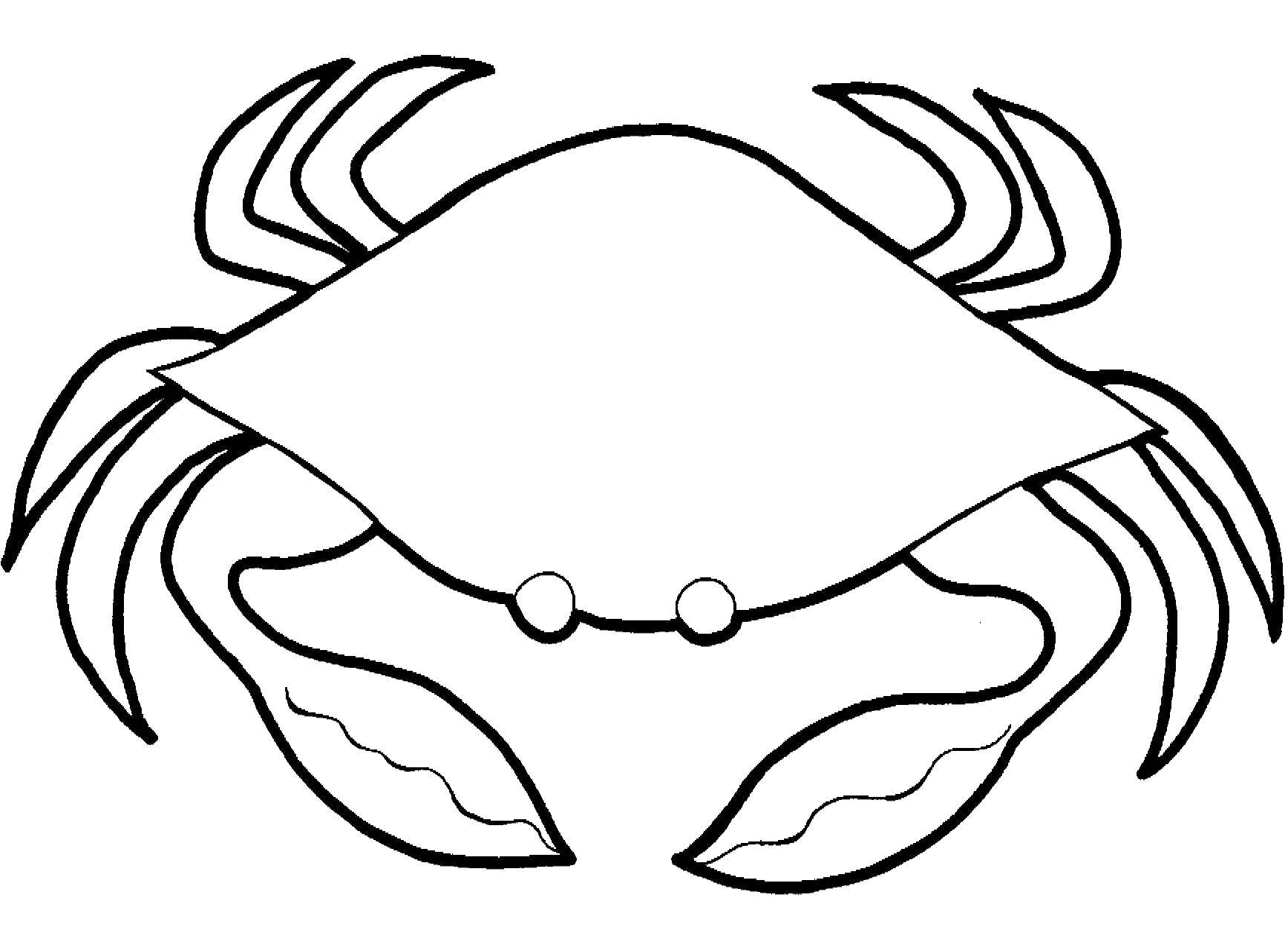 Coloring Crab. Category marine. Tags:  Underwater, crab.