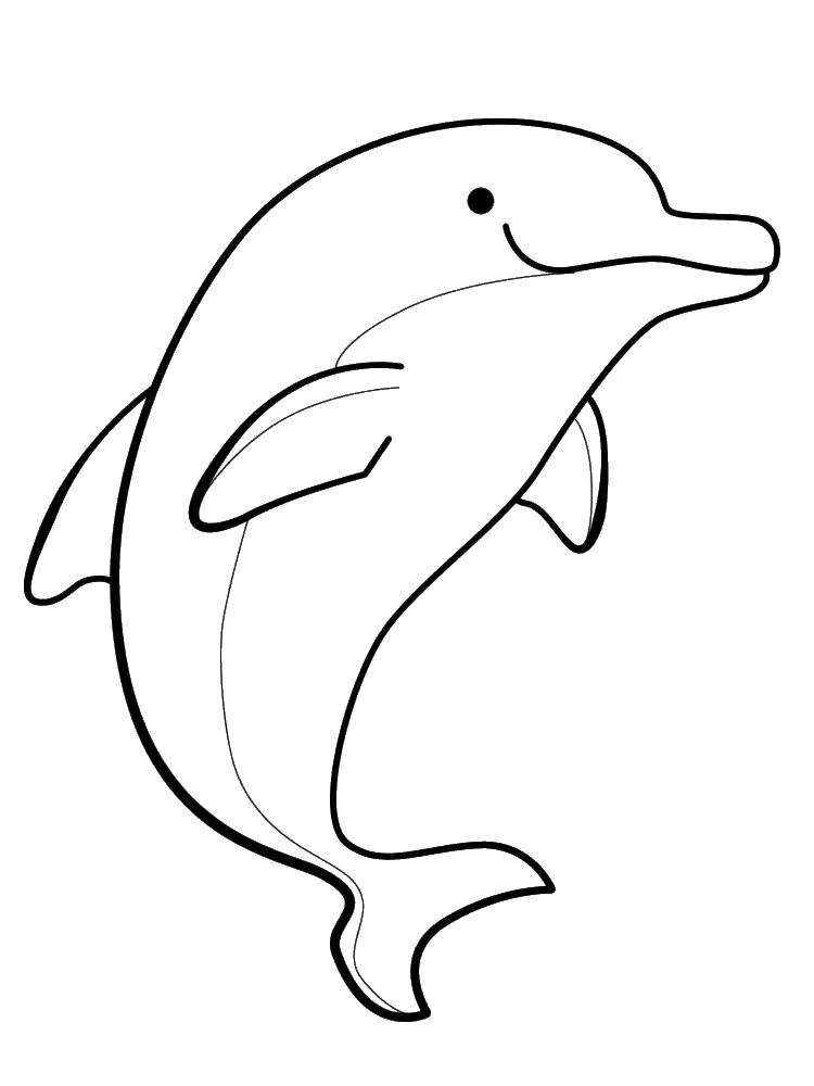 Название: Раскраска Красивый дельфин. Категория: дельфин. Теги: Подводный мир, дельфин.