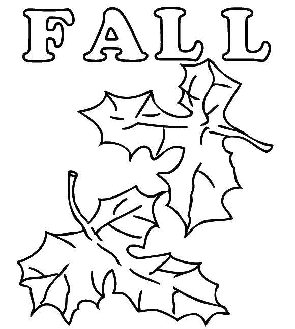 Coloring Falling leaves in autumn. Category Autumn. Tags:  Autumn, leaves.