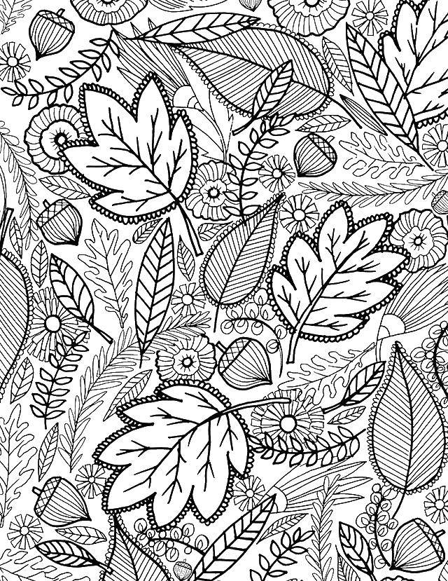 Coloring The leaves in the pattern. Category Autumn. Tags:  Patterns, geometric.