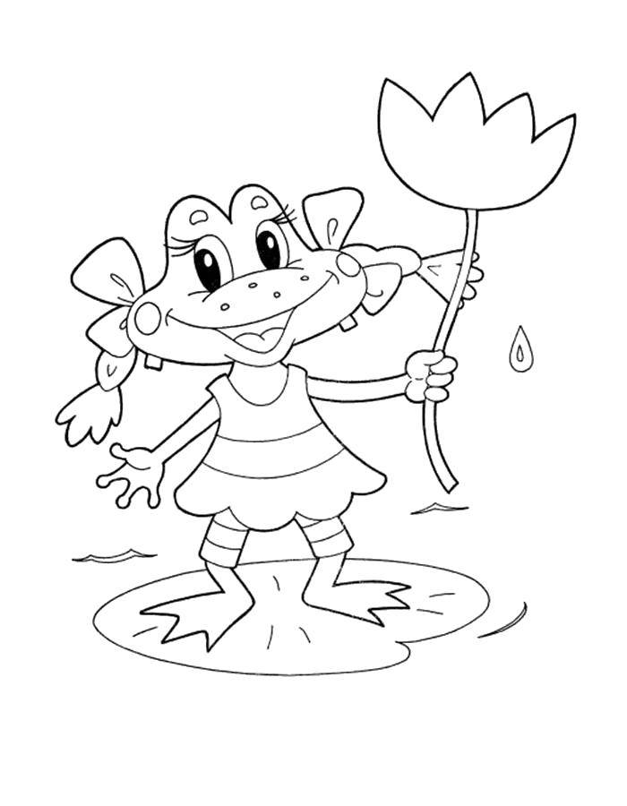 Coloring Frog with flower. Category Coloring pages for kids. Tags:  Reptile, frog.