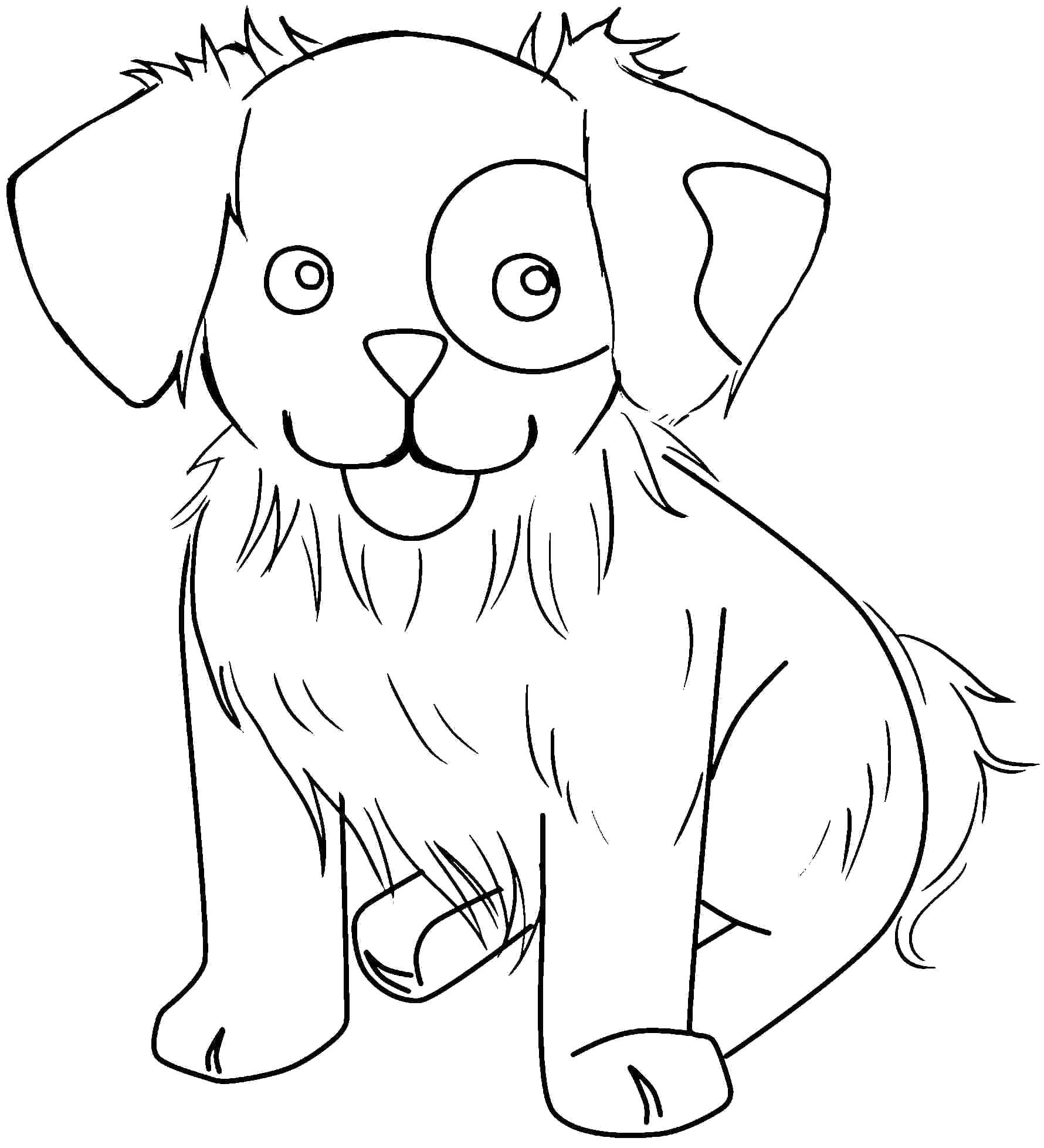 Coloring Little puppy dog with spot on eye. Category animals. Tags:  Animals, dog, puppy.