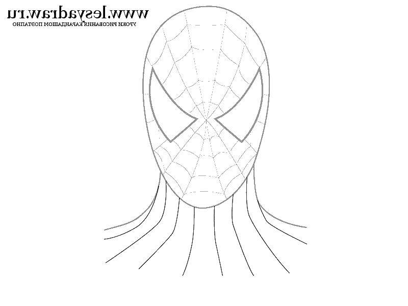 Название: Раскраска Маска спайдер мена. Категория: человек паук. Теги: маска, человек паук.