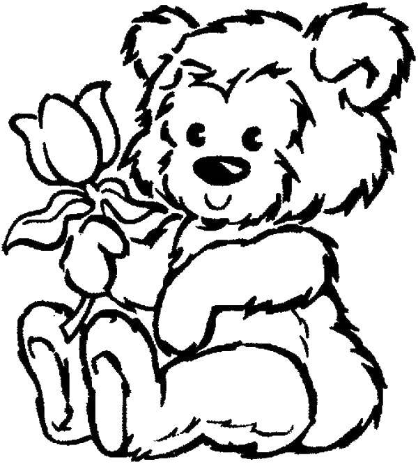 Название: Раскраска Медвежонок сорвал цветок. Категория: игрушки. Теги: Игрушка, медведь.