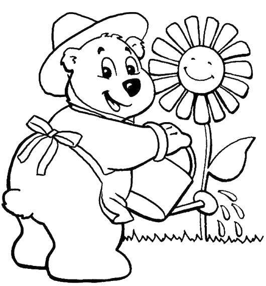 Название: Раскраска Мишка поливает цветочек. Категория: Животные. Теги: Животные, медведь.