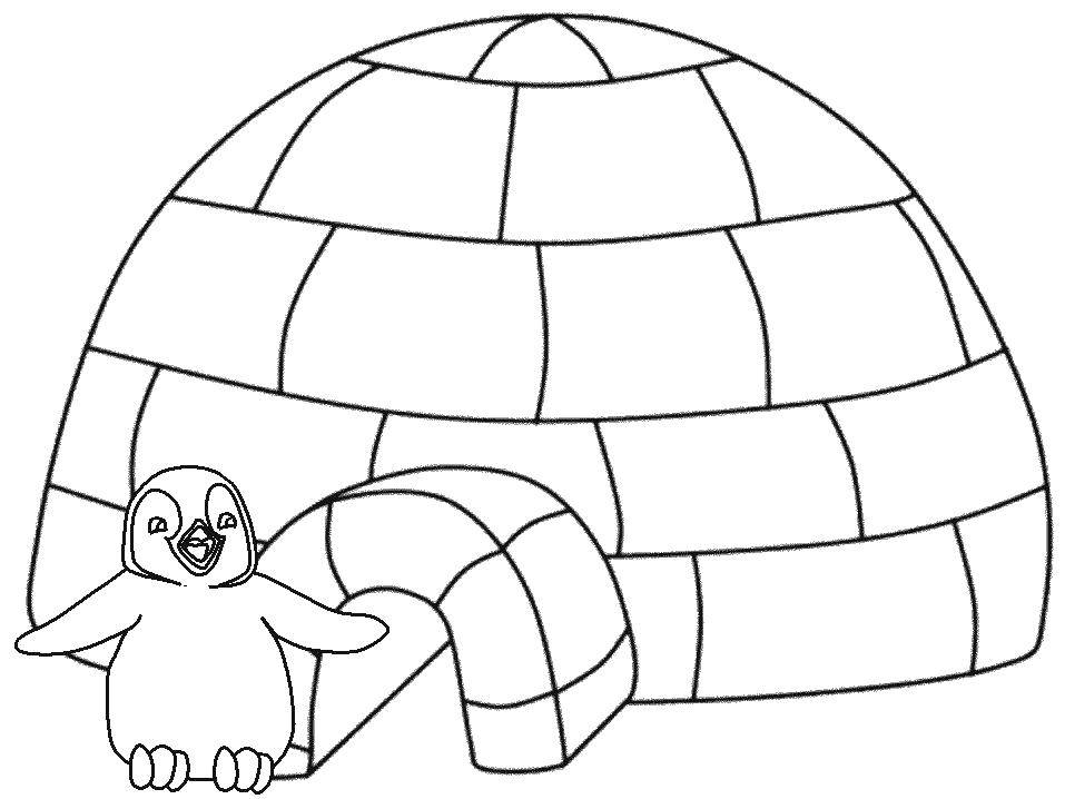 Coloring Penguin from Igloo. Category coloring winter. Tags:  Winter, children, snow, fun.