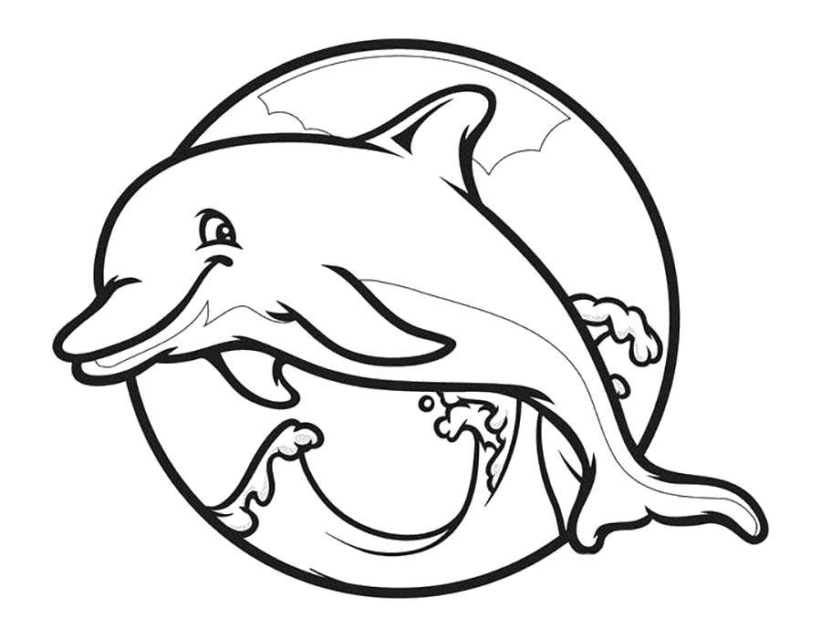 Название: Раскраска Подводный мир и дельфин. Категория: дельфин. Теги: Подводный мир, дельфин.