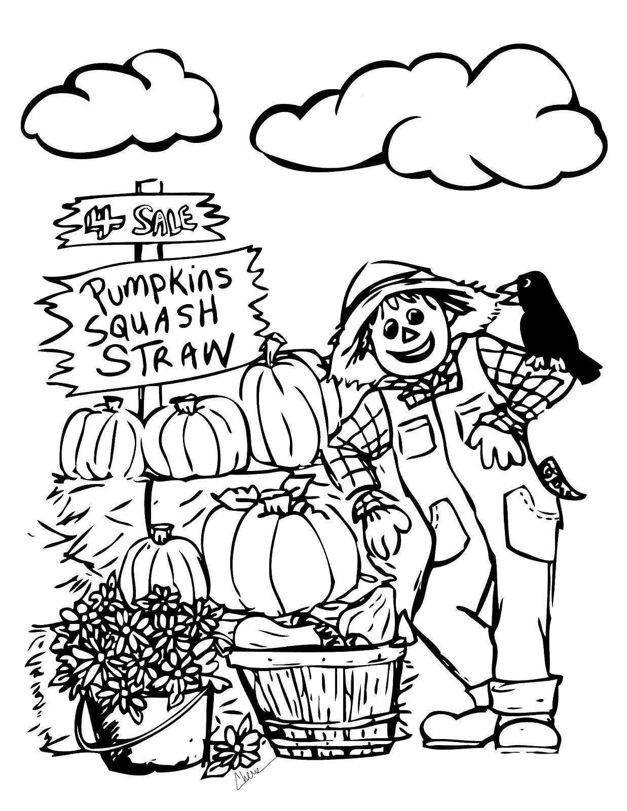 Название: Раскраска Пугало продает тыквы. Категория: Осень. Теги: Осень, листья, тыква.