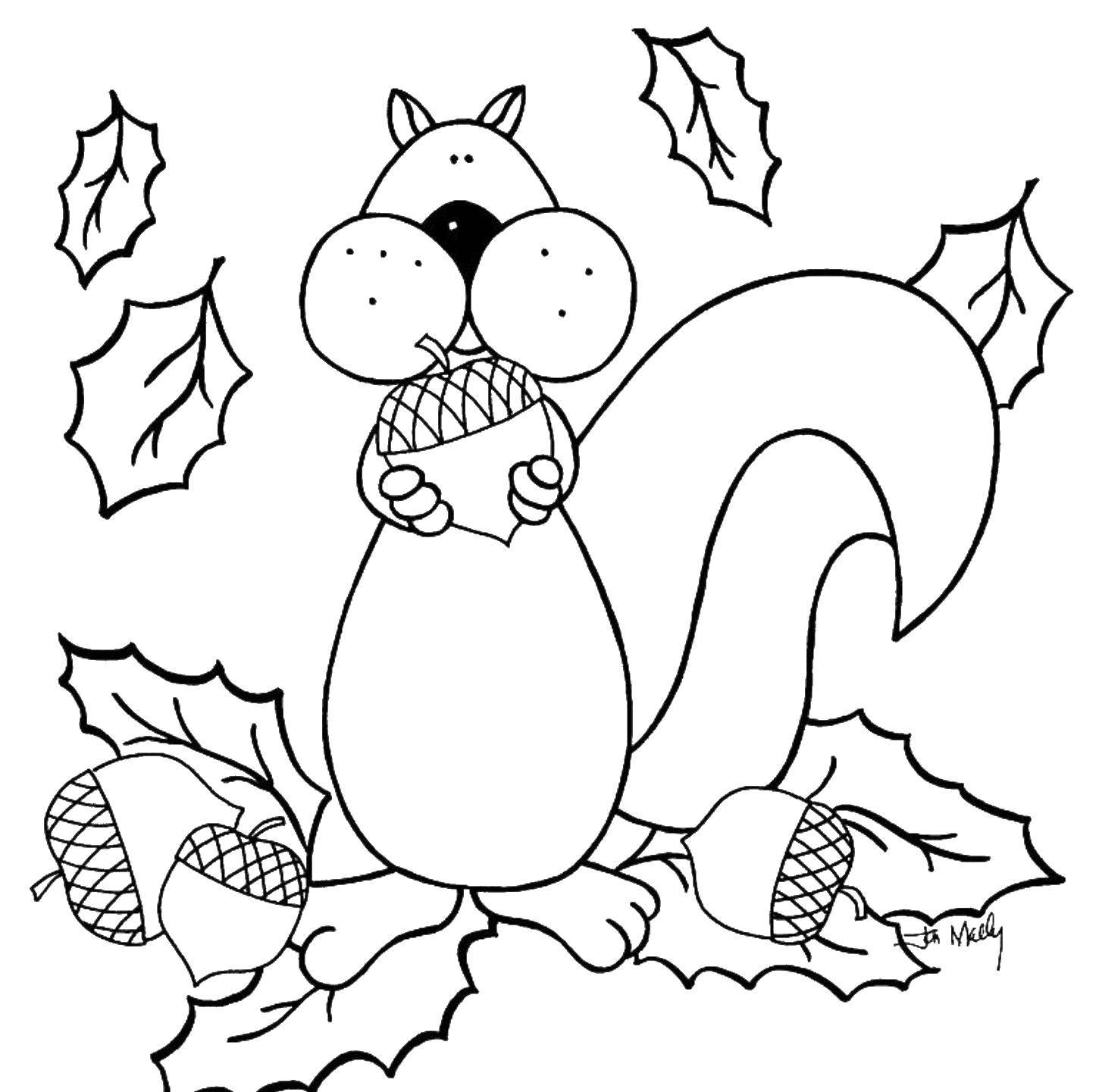 Coloring Chubby squirrel. Category Autumn. Tags:  Autumn, leaves.