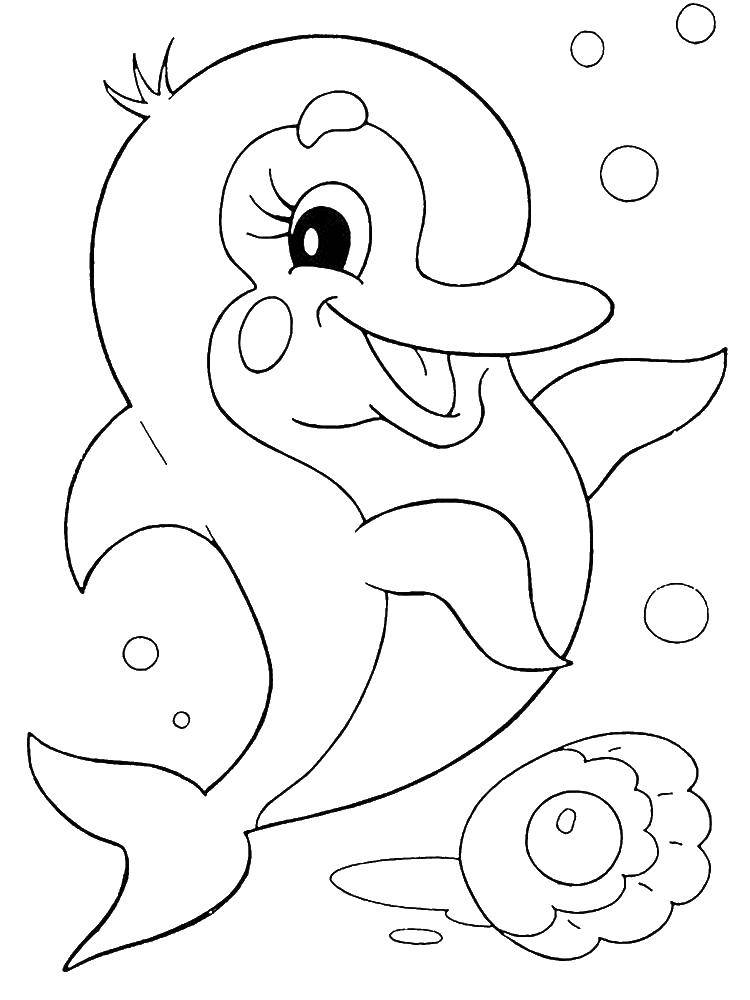 Название: Раскраска Раковина и дельфин. Категория: дельфин. Теги: дельфин, раковина, пузыри.