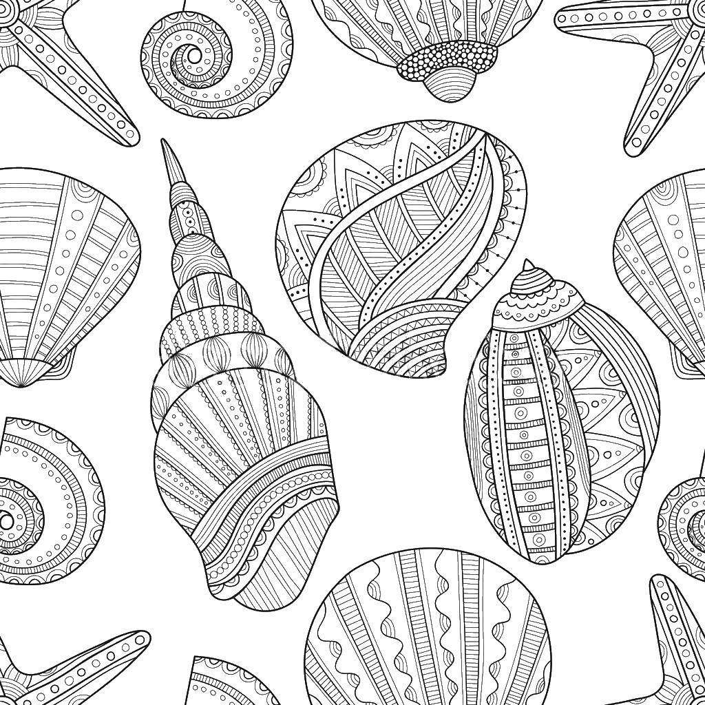 Coloring Shells in patterns. Category shell. Tags:  Shell, beach.