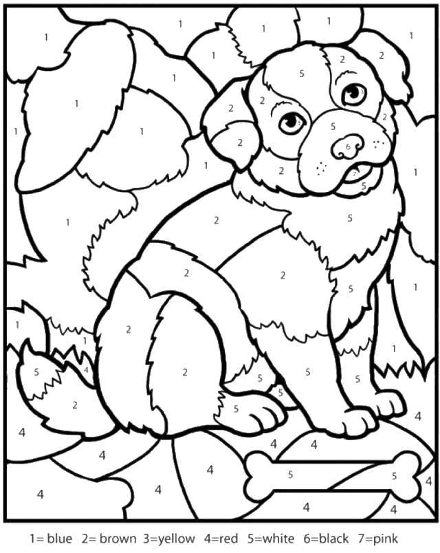 Coloring Painting by numbers dog. Category mathematical coloring pages. Tags:  Math, counting, logic.