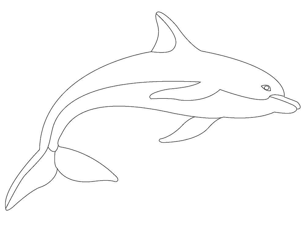 Раскраски дельфин для 6 лет (49 фото) » рисунки для срисовки на adm-yabl.ru