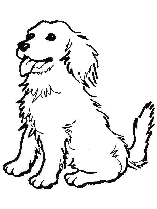 Coloring Dog. Category animals. Tags:  the dog.
