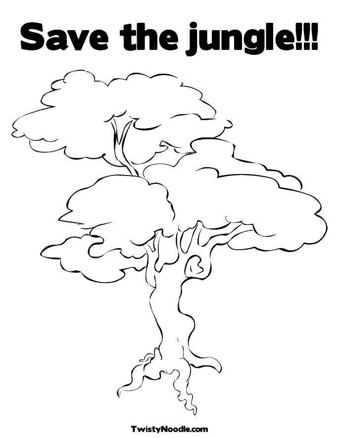 Coloring Save the jungle. Category tree. Tags:  Trees, leaf.