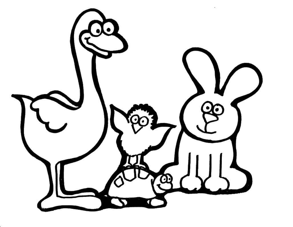 Coloring Ostrich, bird, turtle and rabbit. Category Zoo. Tags:  Zoo, animals.