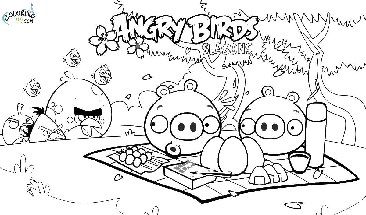 Название: Раскраска Свинья из angry birds на пикнике. Категория: Персонаж из игры. Теги: Игры, Angry Birds .