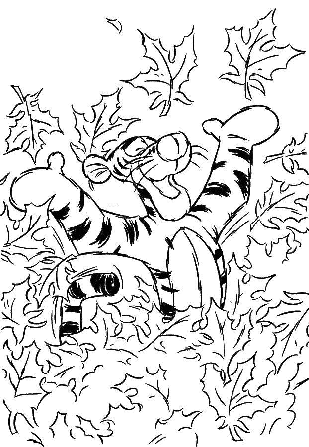 Coloring Tiger in the sheets. Category Autumn. Tags:  Autumn, leaves.