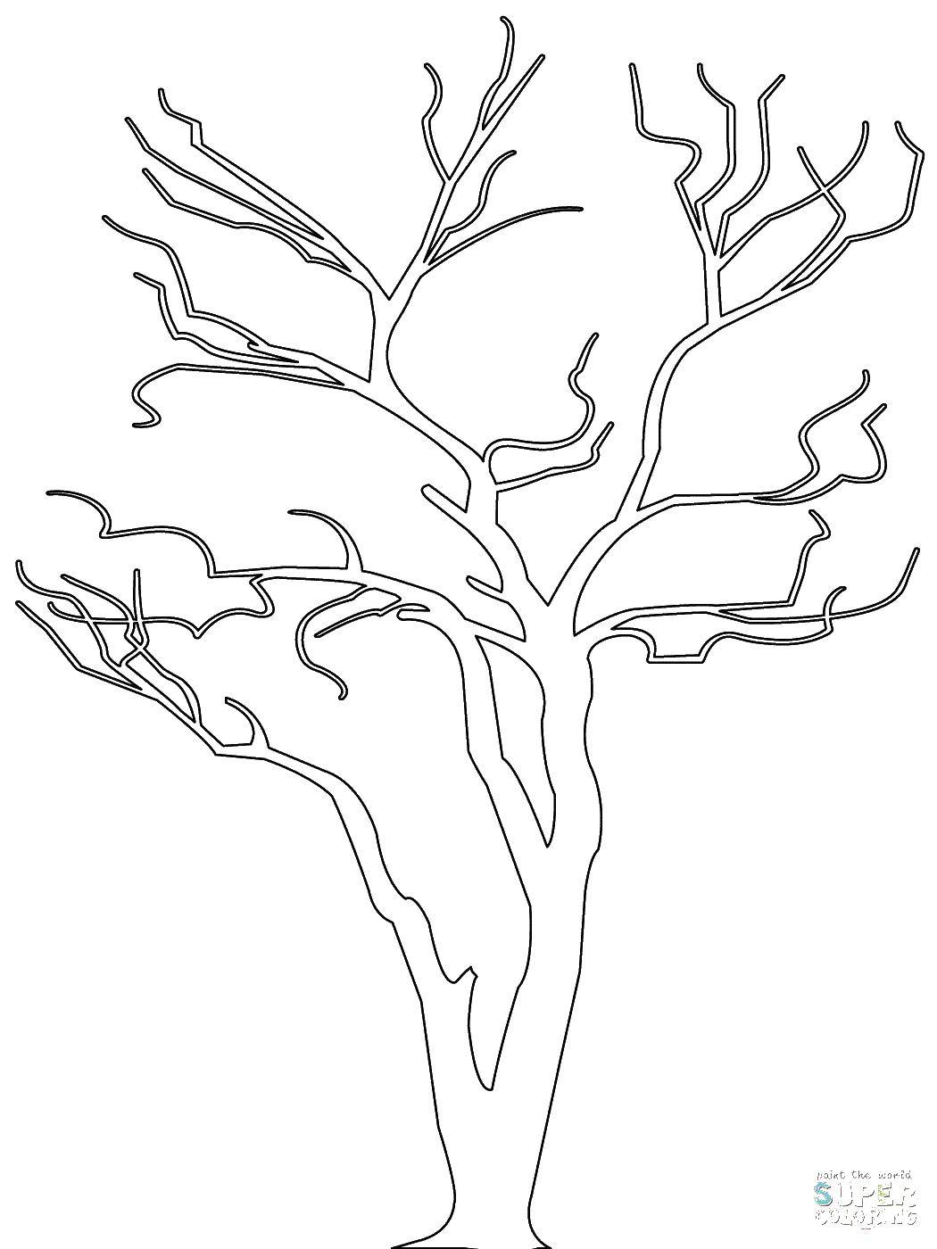 Название: Раскраска Тонкое сухое дерево. Категория: Контур дерева. Теги: Деревья.