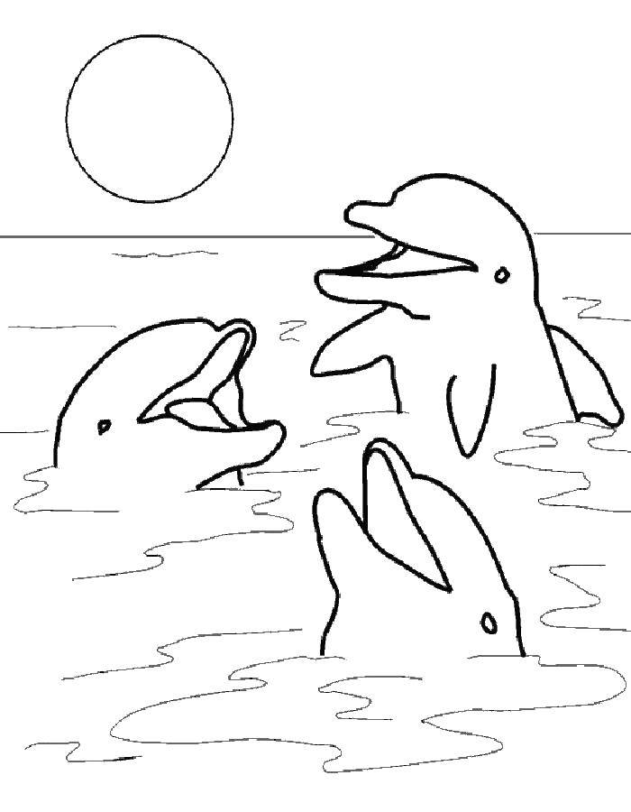 Название: Раскраска Три дельфина и солнце. Категория: дельфин. Теги: дельфин, солнце, вода.