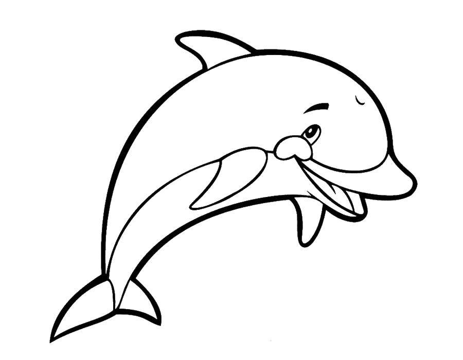 Название: Раскраска Улыбающийся дельфин. Категория: дельфин. Теги: дельфин, хвост, улыбка.