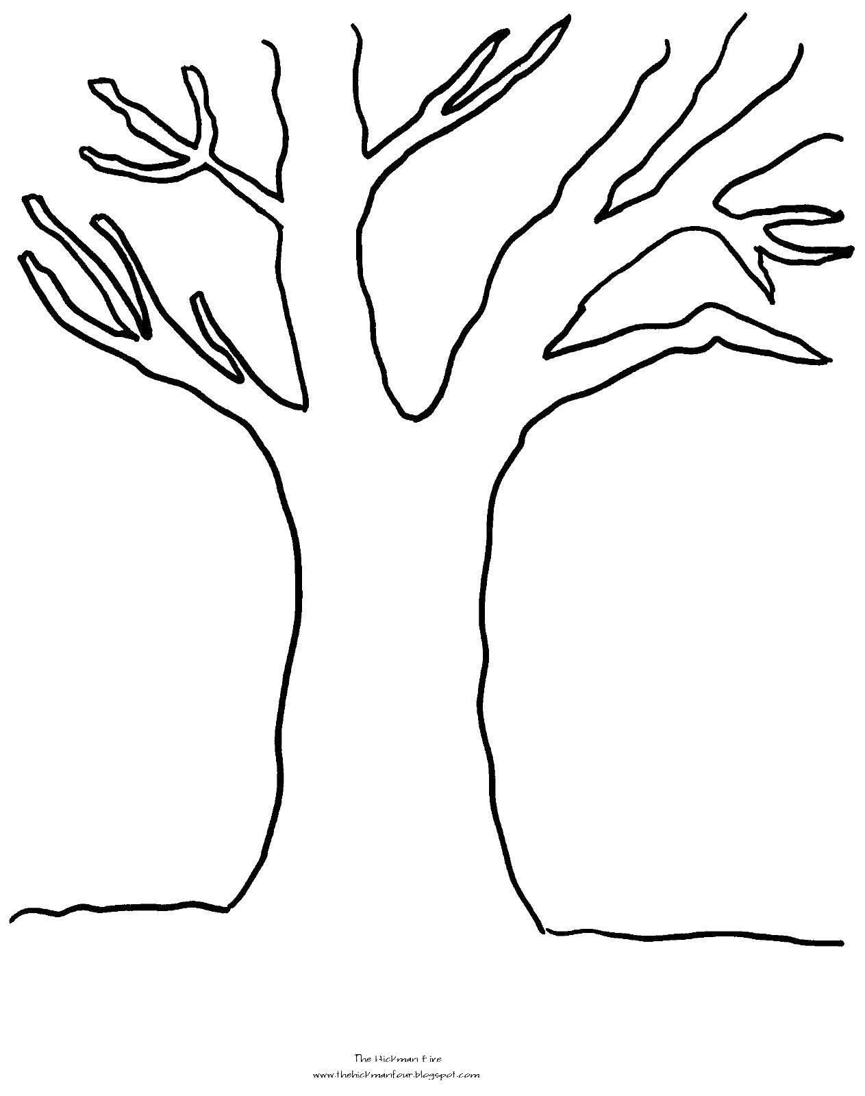 Ветка дерева раскраска