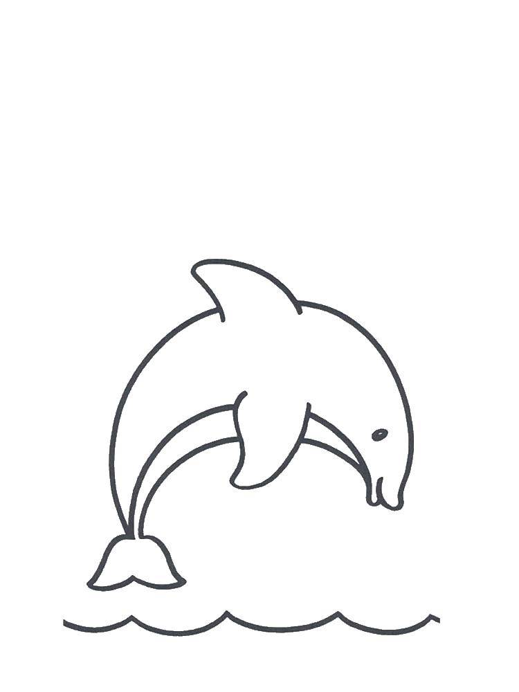 Название: Раскраска Высокий прыжок дельфина. Категория: дельфин. Теги: Подводный мир, дельфин.