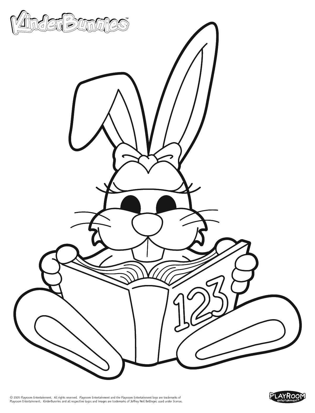 Coloring Bunny studying mathematics. Category mathematical coloring pages. Tags:  Animals, Bunny.