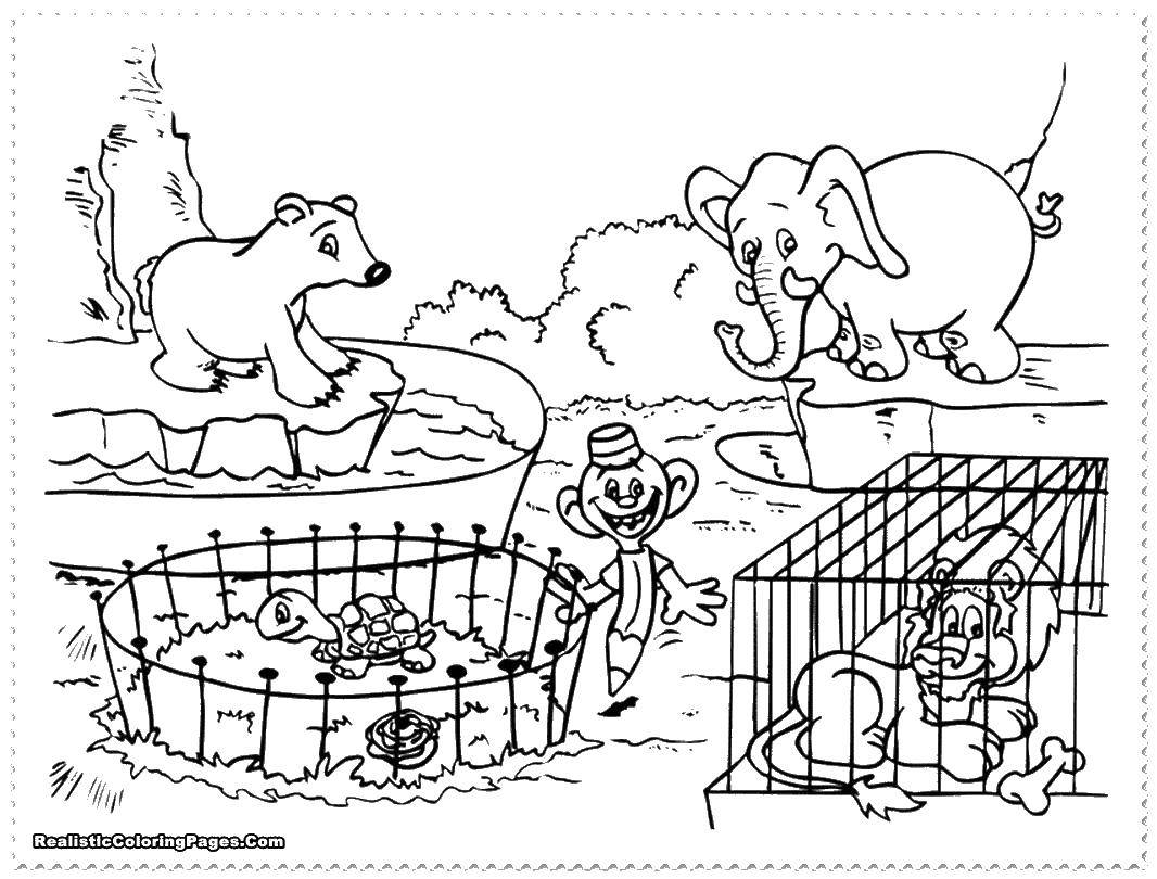 Coloring Zoo with small animals. Category Zoo. Tags:  Zoo, animals.