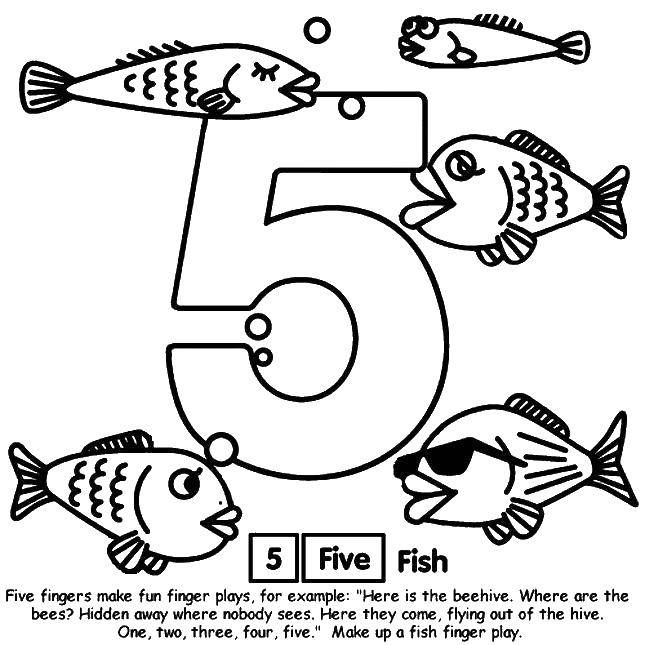 Название: Раскраска 5 рыбок. Категория: Учимся считать. Теги: Цифры, счёт, числа.