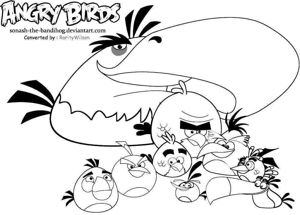 Название: Раскраска Angry birds. Категория: angry birds. Теги: птички, игры, angry birds, птицы.